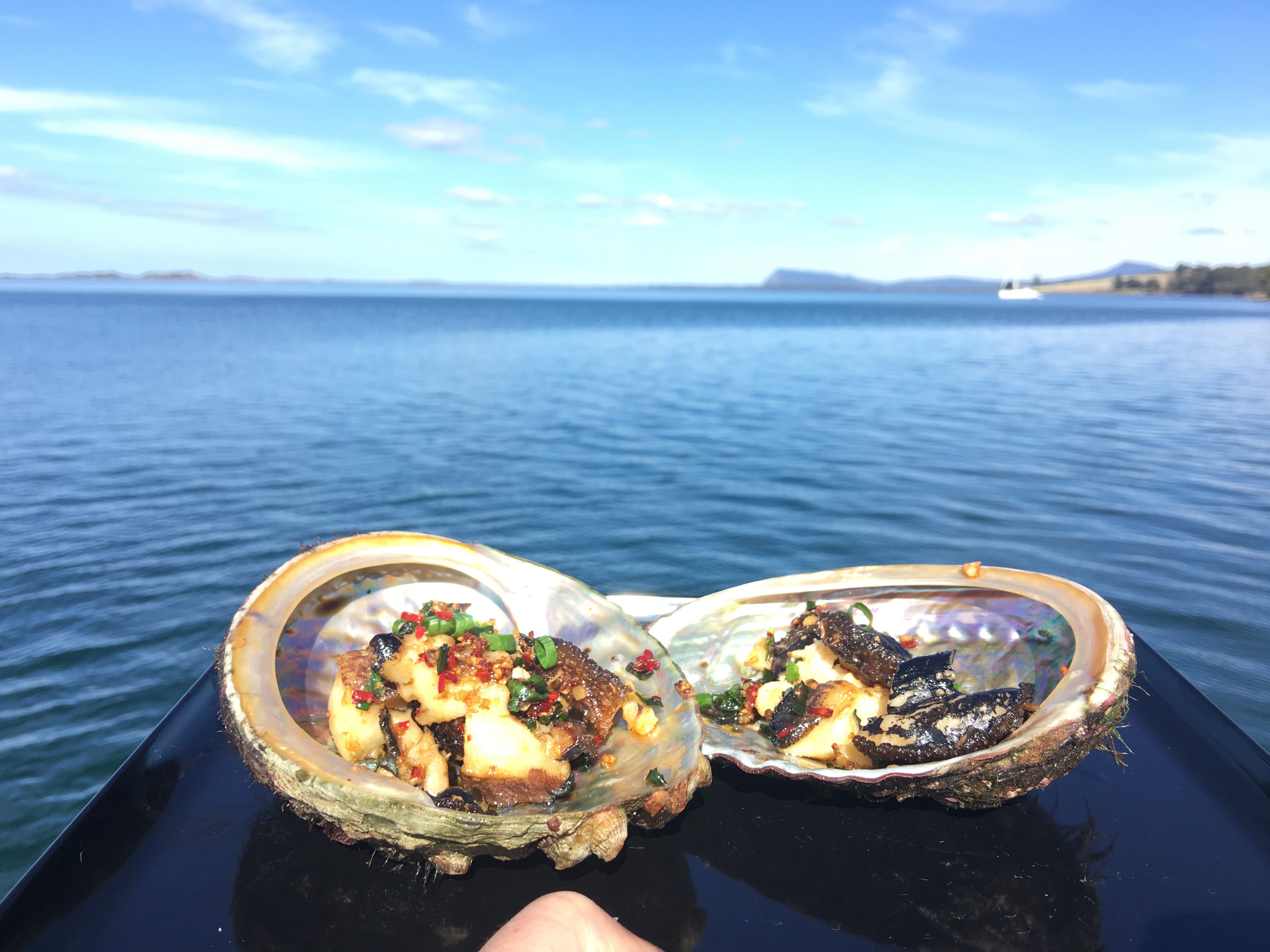 tasmania seafood seductionçåçæå°çµæ